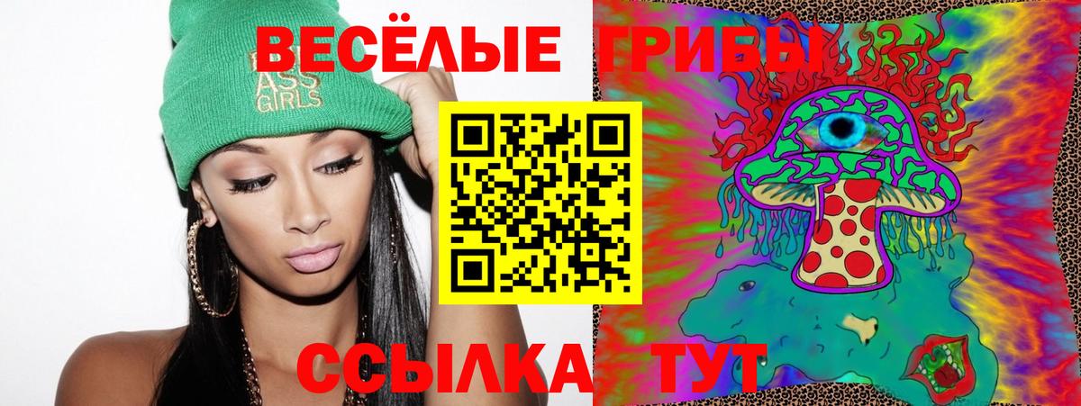 Галлюциногенные грибы Psilocybine cubensis Стрежевой
